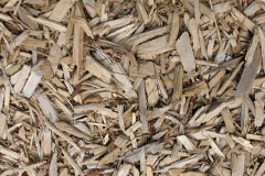 biomass boilers Glanrhyd